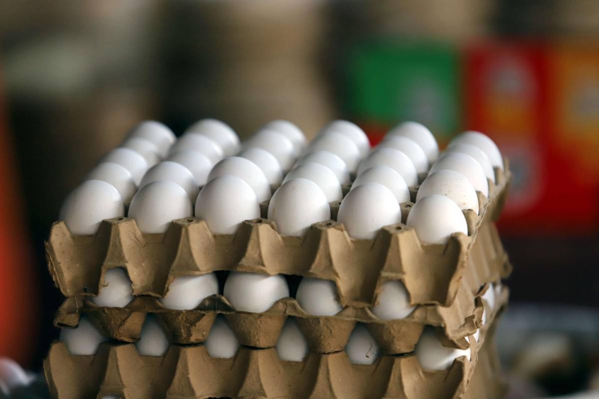 El cartón de huevos está 30 lempiras más caro que hace un mes