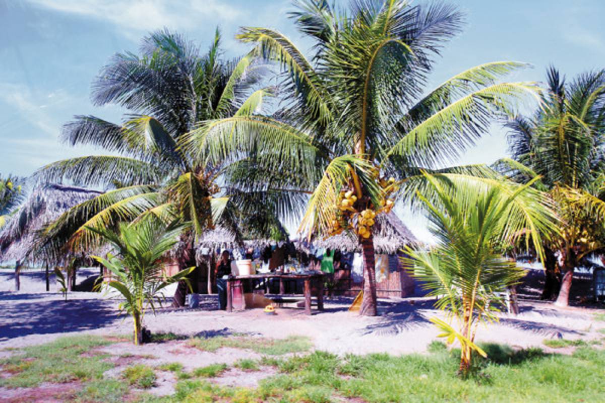 Tela se prepara para el estallido turístico en el norte de Honduras