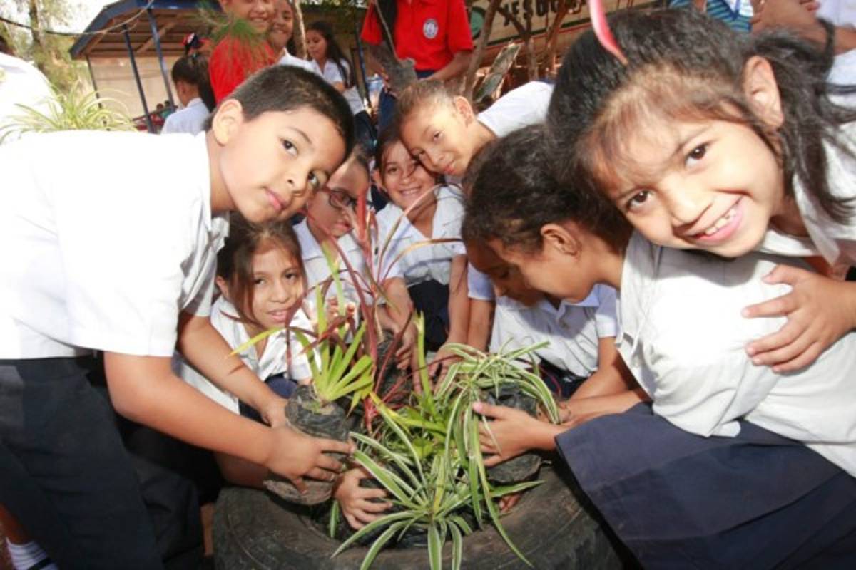 Entornos verdes recuperan importancia en la Escuela Experimental de Niños para la Música