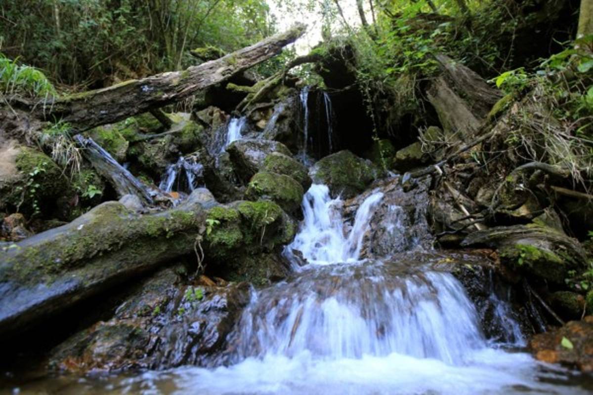 La ruta Cerro de Plata, la unión de El Picacho, El Piligüín y La Tigra