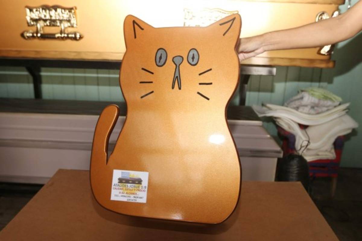 Ataúdes para mascotas: Un adiós con dignidad para el fiel y juguetón amigo