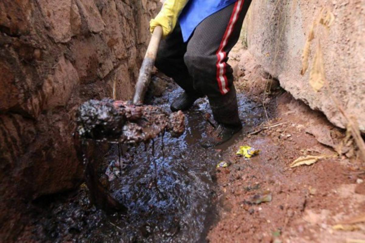 Megaoperativo de limpieza contra el zancudo en 14 colonias de la capital