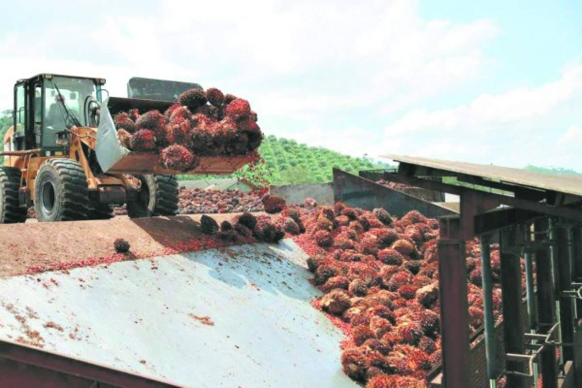 Honduras: Energía térmica aún es la más rentable para la ENEE