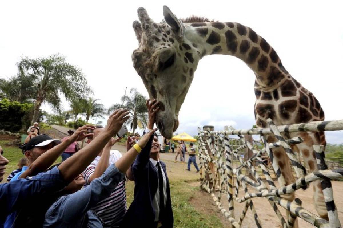 Joya Grande, un fascinante pedazo de África en Honduras