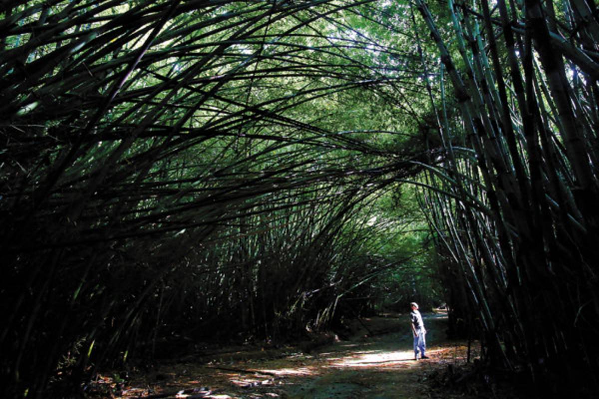 Tela se prepara para el estallido turístico en el norte de Honduras