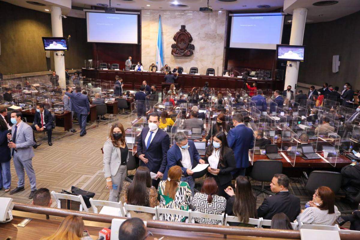 Congreso Nacional iniciará el lunes audiencias públicas para elegir titulares del CNE y TJE