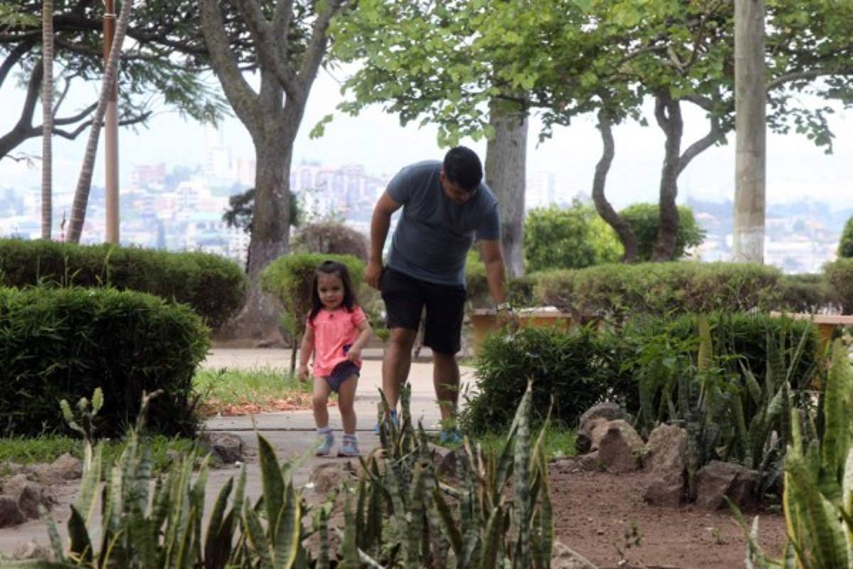 Retoman el diálogo para rescatar parque La Leona