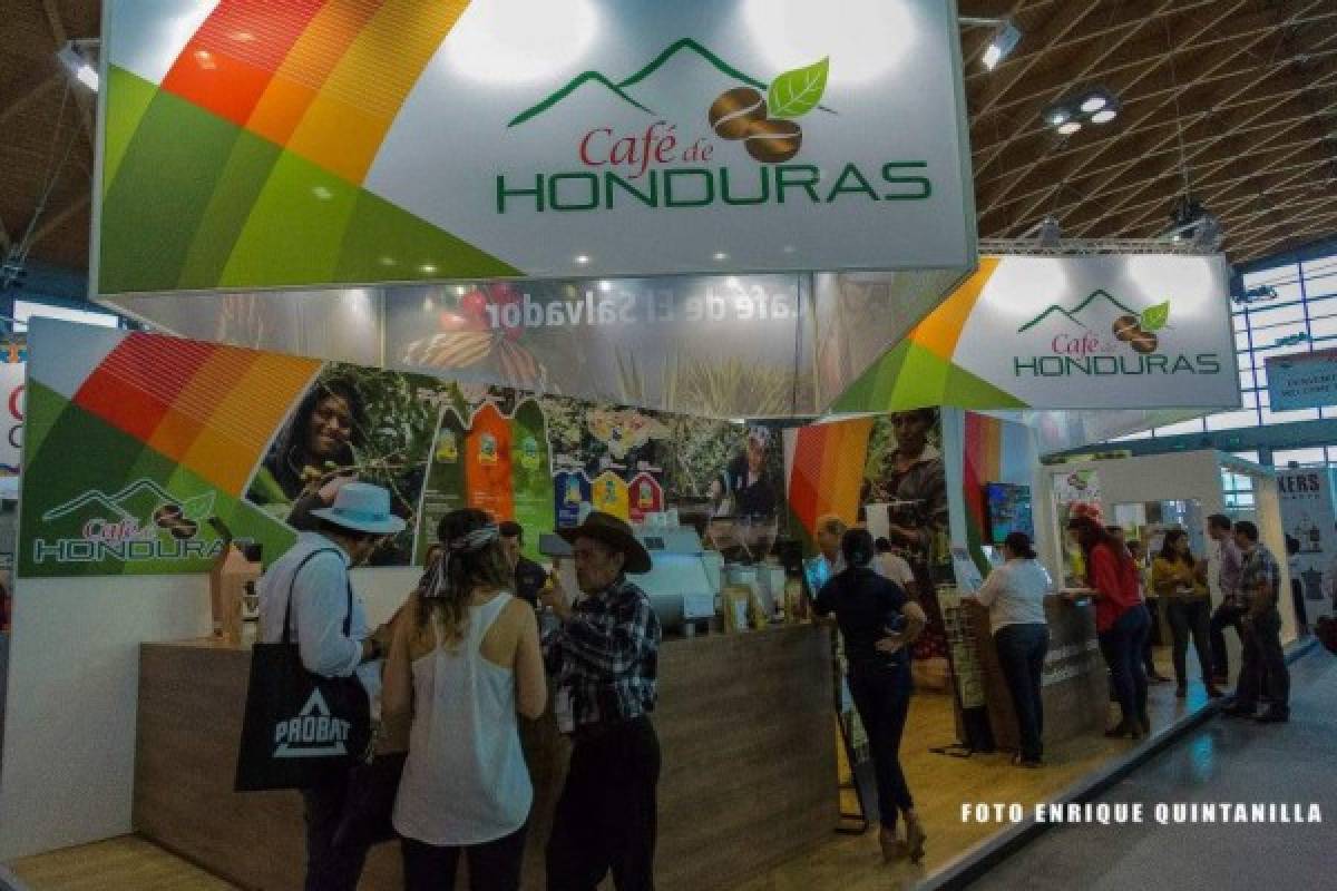 Café hondureño destaca en feria en Italia