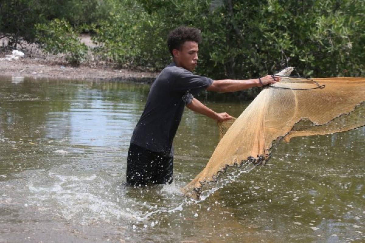 'Quiero una beca y estudiar para ingeniero”, joven pescador de Nacaome