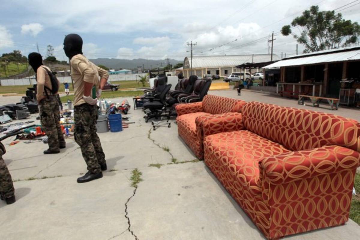 Reos de la MS tenían perros pitbull y rottweiler en la PN