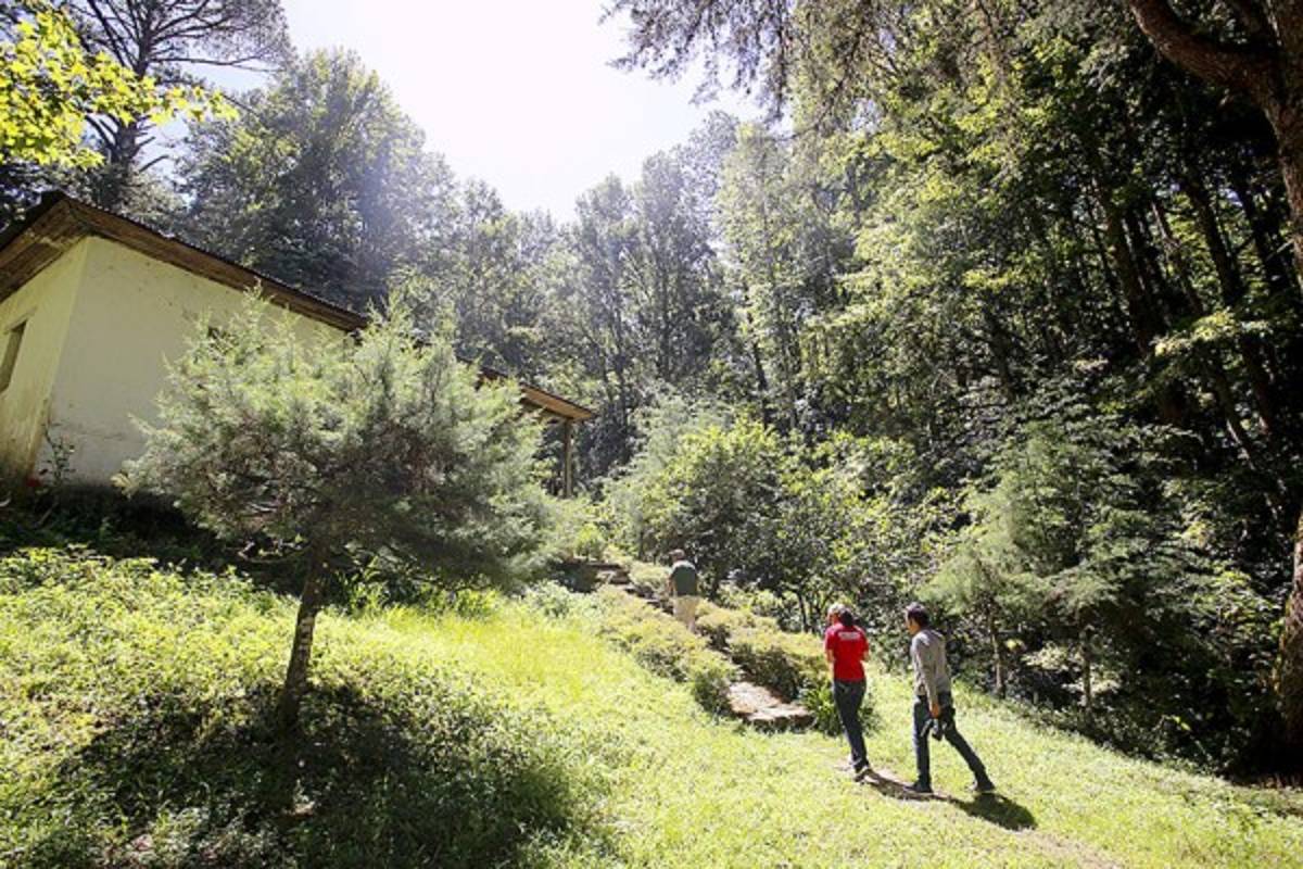 Exuberante belleza natural en La Tigra