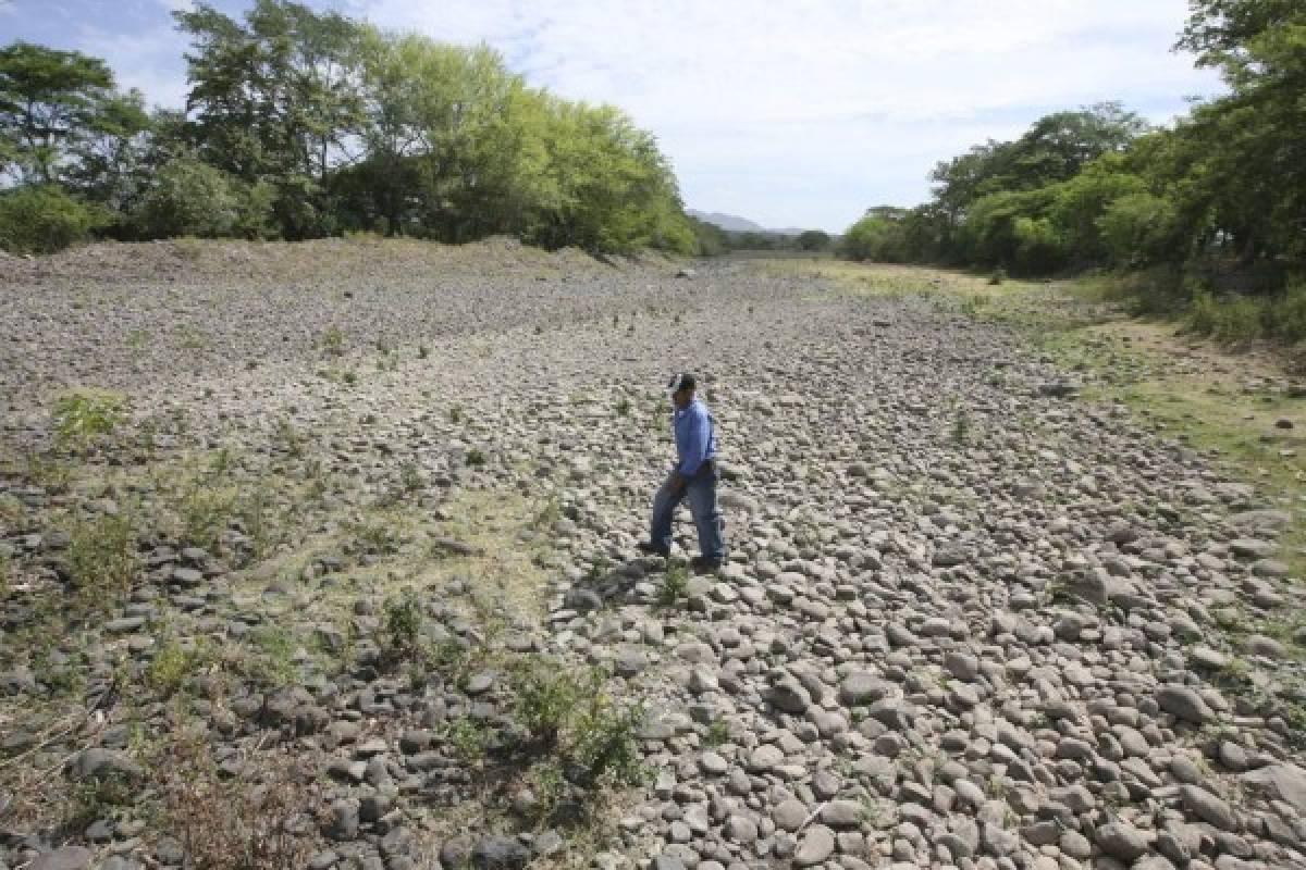 Pobladores claman por lluvia ante la sequía que les azota