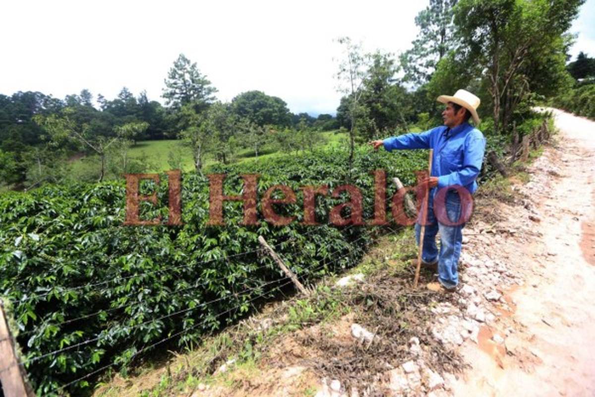 Solidaridad y respuesta para atender a niños hondureños de la frontera