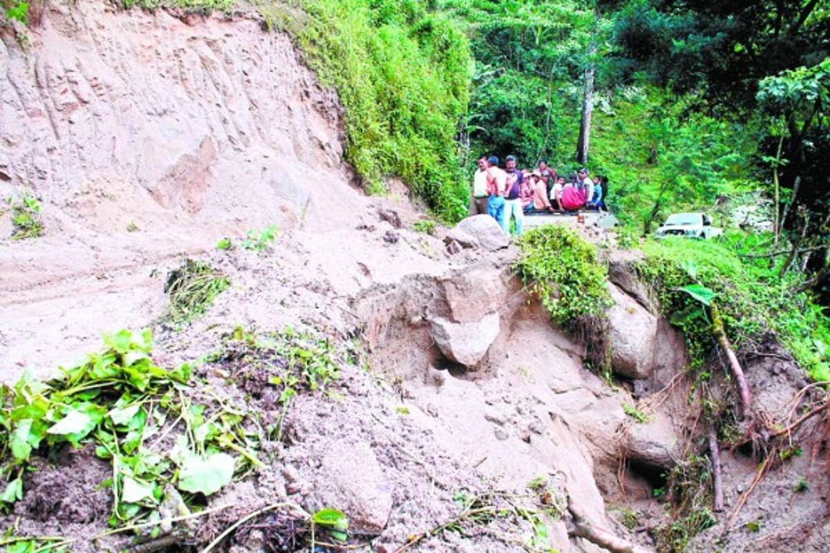 Denuncian contrabando de café hacia Nicaragua