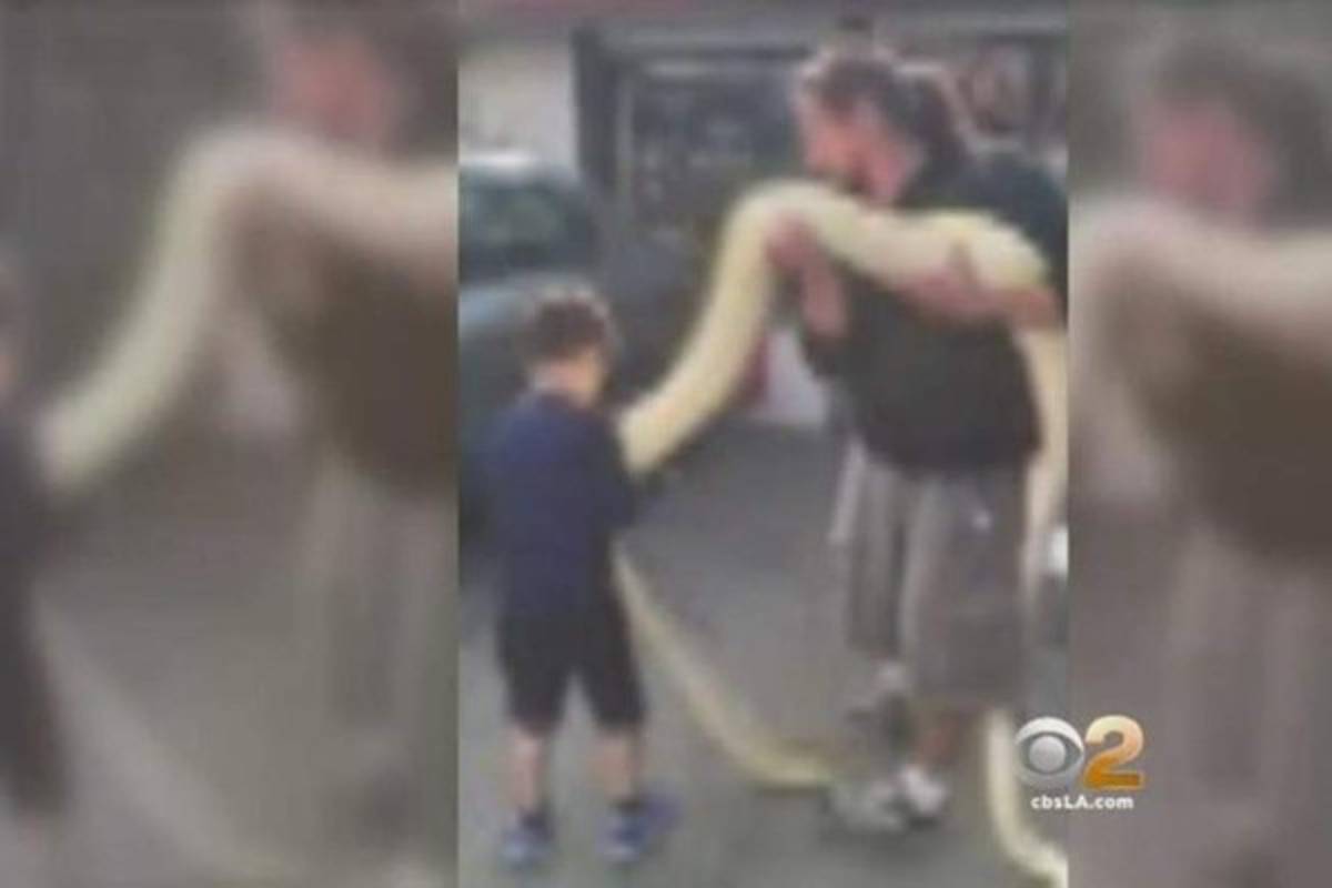 Cliente enojado deja una serpiente gigante dentro de restaurante