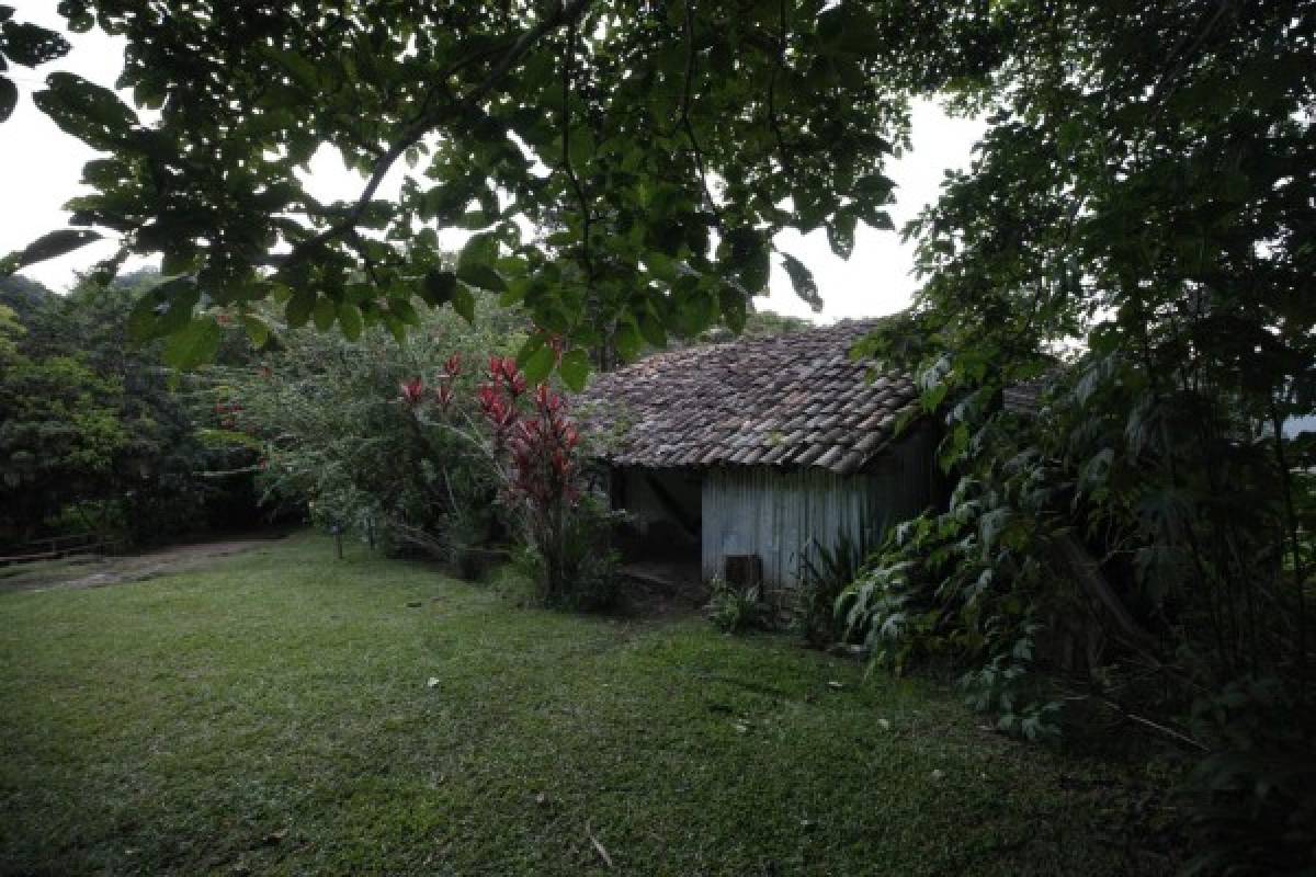 Finca Santa Emilia, un rincón para dejarse consentir por la madre naturaleza