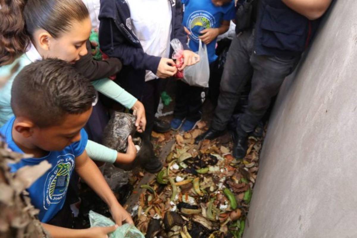 Con abono orgánico, estudiantes aprenden a proteger la naturaleza  