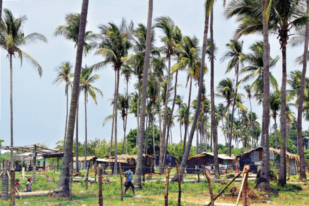Honduras: La miseria se ensaña con pescadores del Golfo de Fonseca