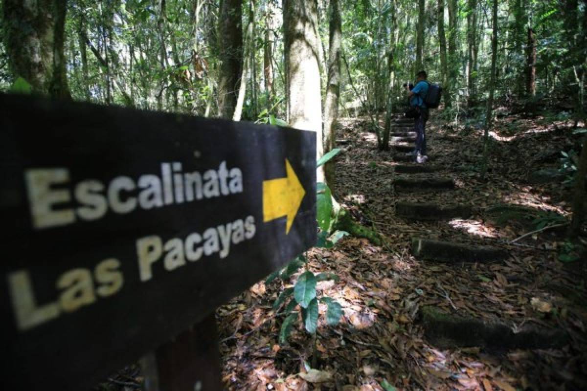 La ruta Cerro de Plata, la unión de El Picacho, El Piligüín y La Tigra