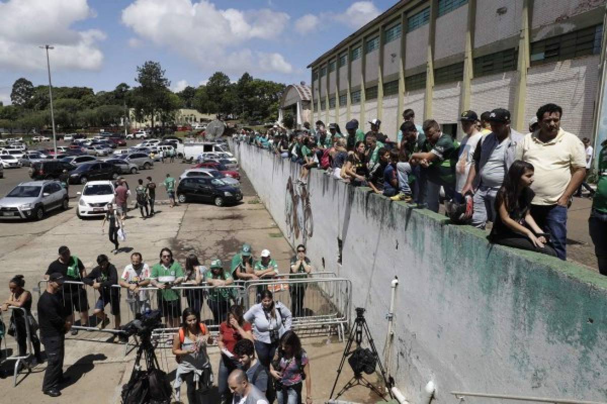 Chapecoense, el matagigantes de Sudamérica