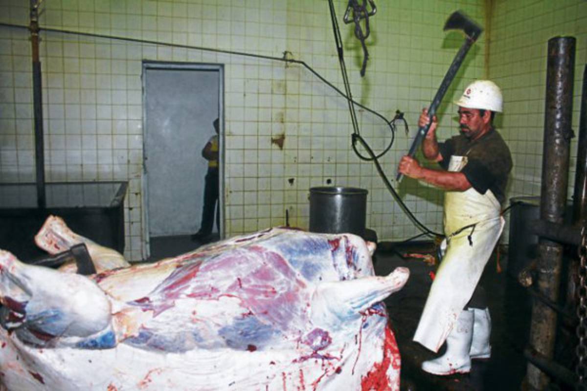 En condiciones insalubres funciona rastro de Danlí