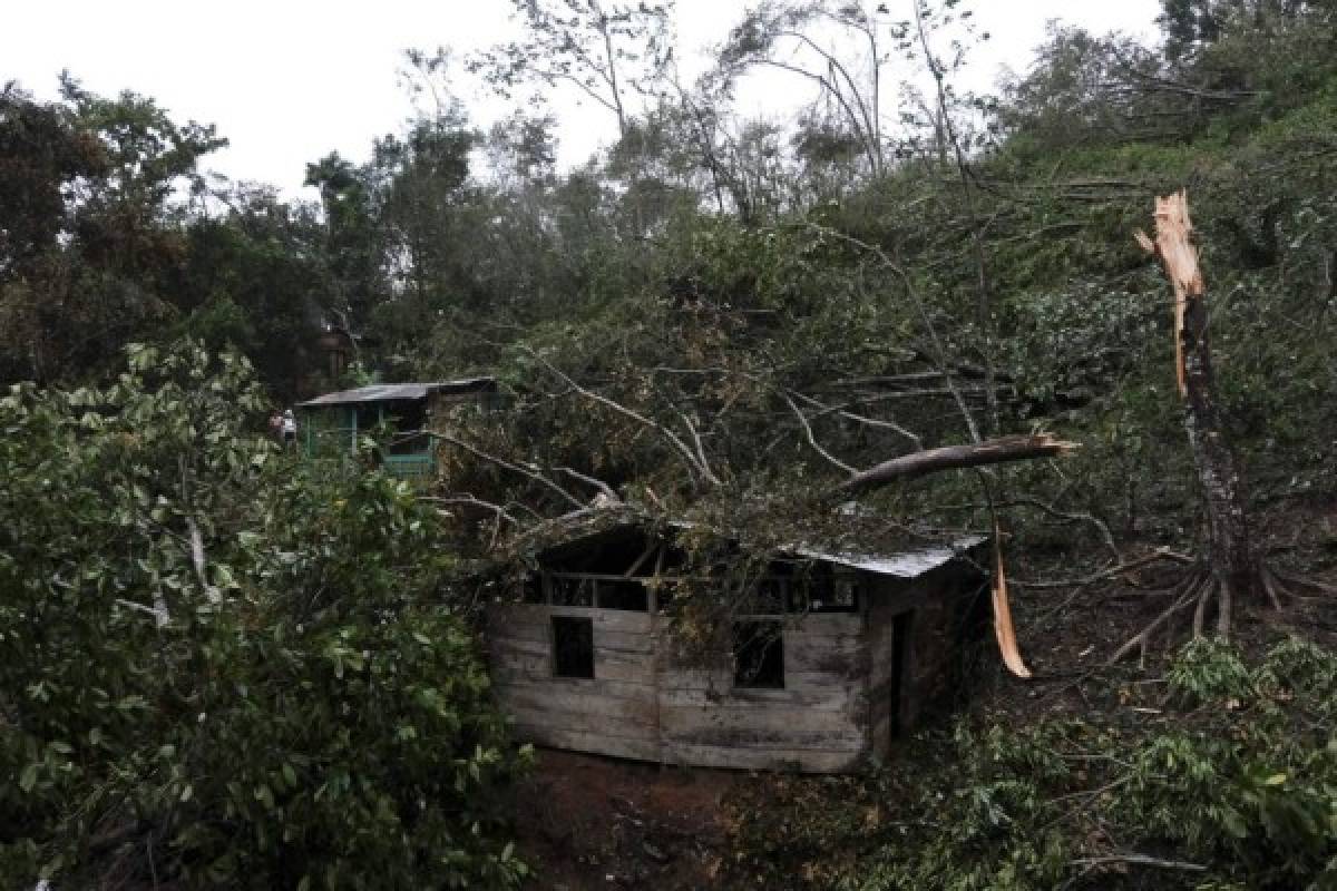 Nicaragua: siguen recuperando cuerpos de fallecidos por derrumbe tras paso de Iota