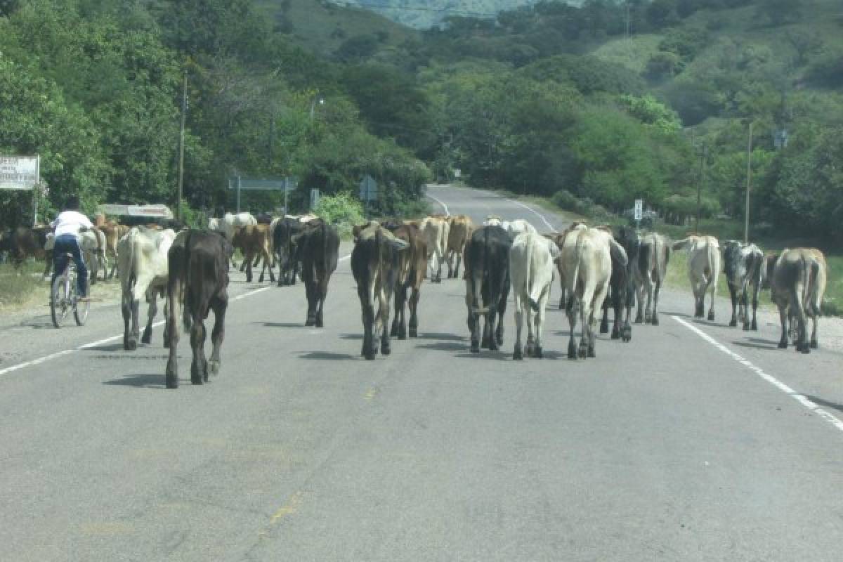 Daños en carretera a San Marcos de Colón alarma a los conductores