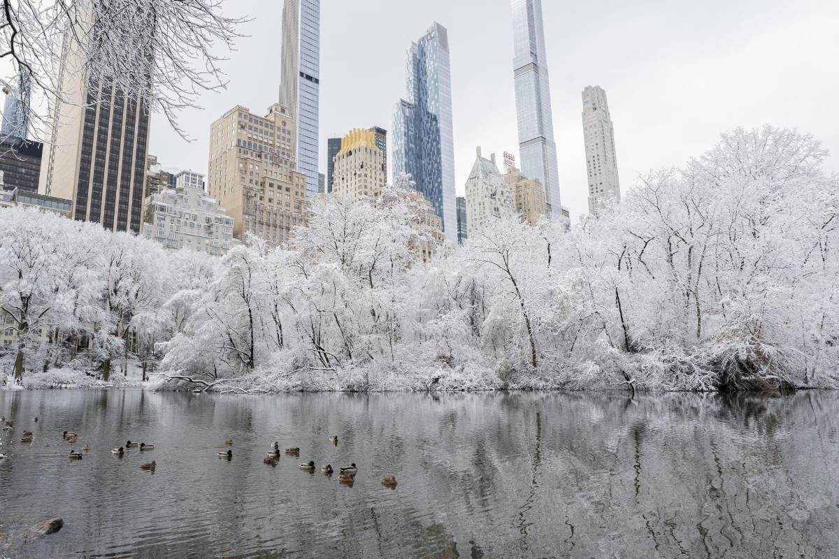 Tormenta de nieve afecta Nueva York: vuelos suspendidos y alerta en los cinco distritos