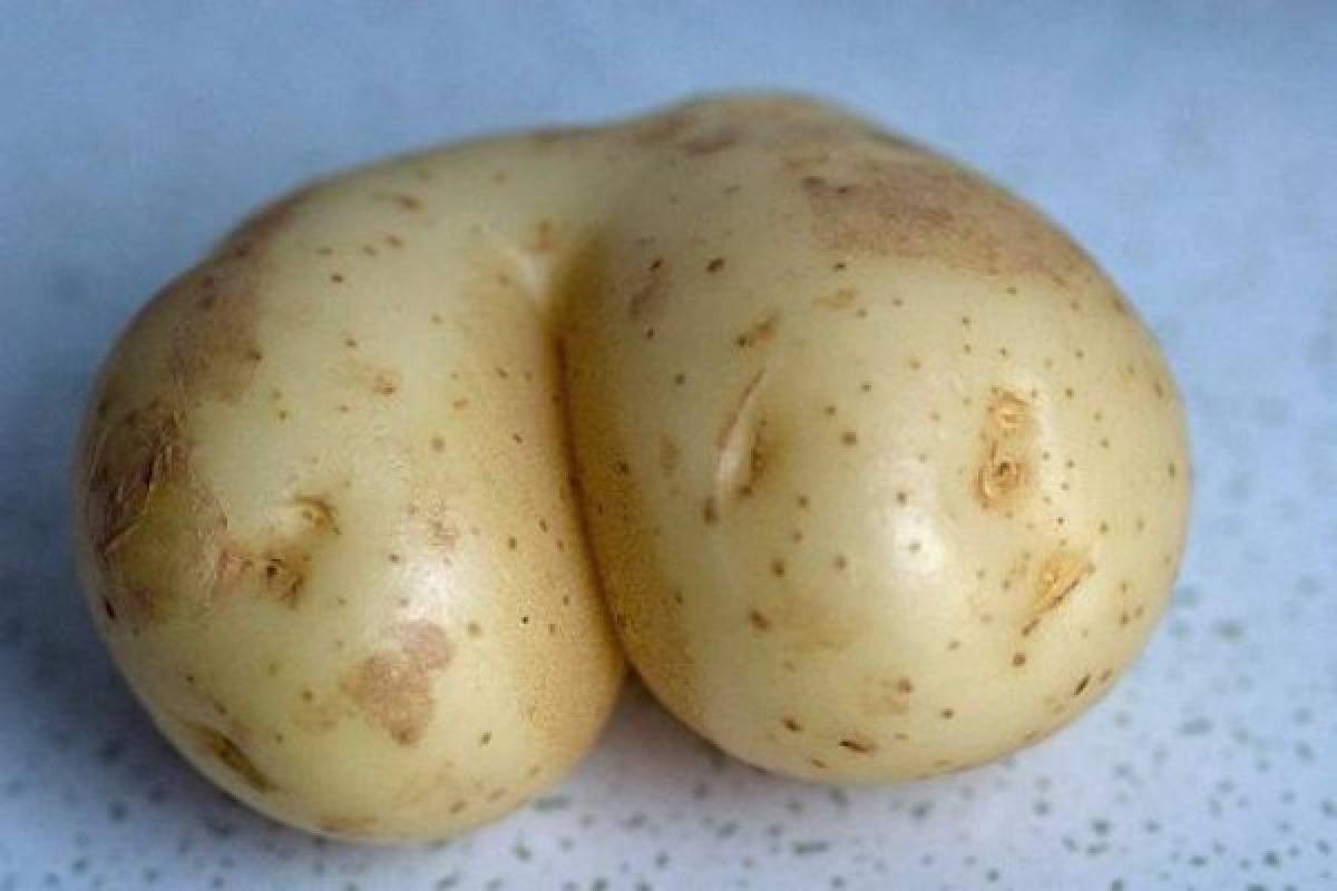 Memes del desnudo de Kim Kardashian
