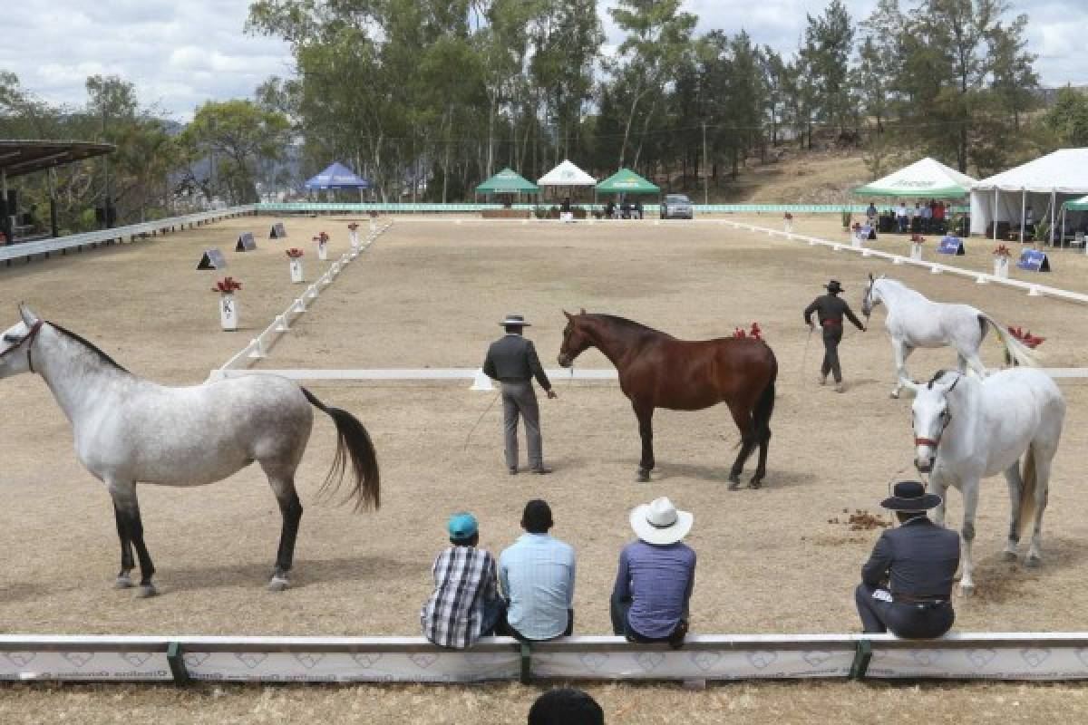 Con éxito finaliza feria Agafam 2019