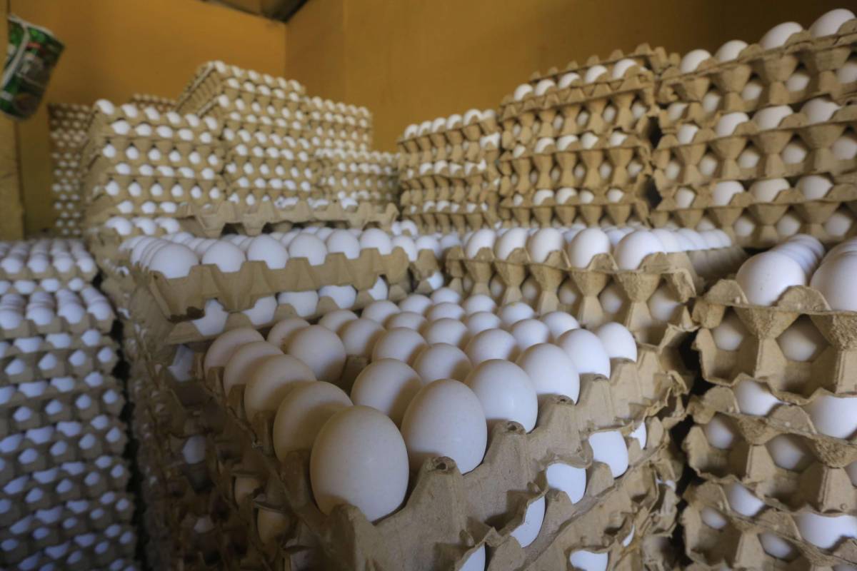 Huevos suben a más de 100 lempiras el cartón en los mercados