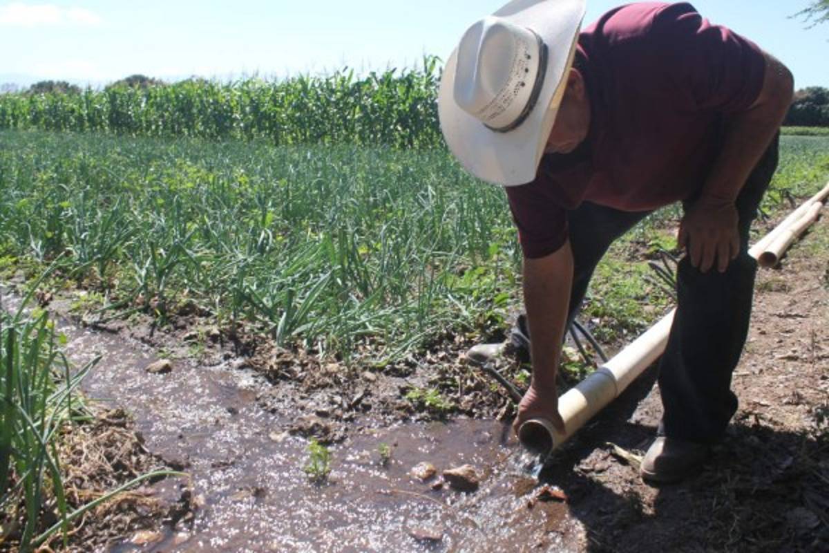 A pura mano productores irrigan sus cultivos en Lejamaní, La Paz