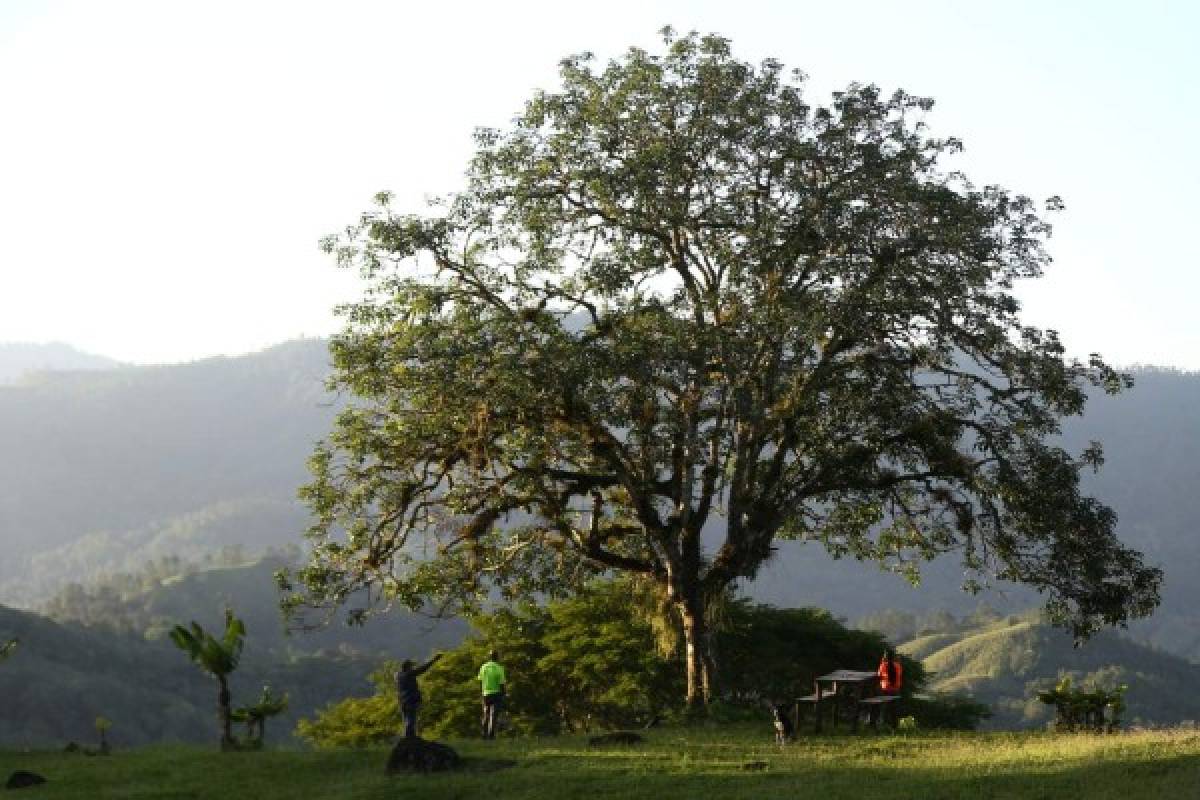 Finca Santa Emilia, un rincón para dejarse consentir por la madre naturaleza