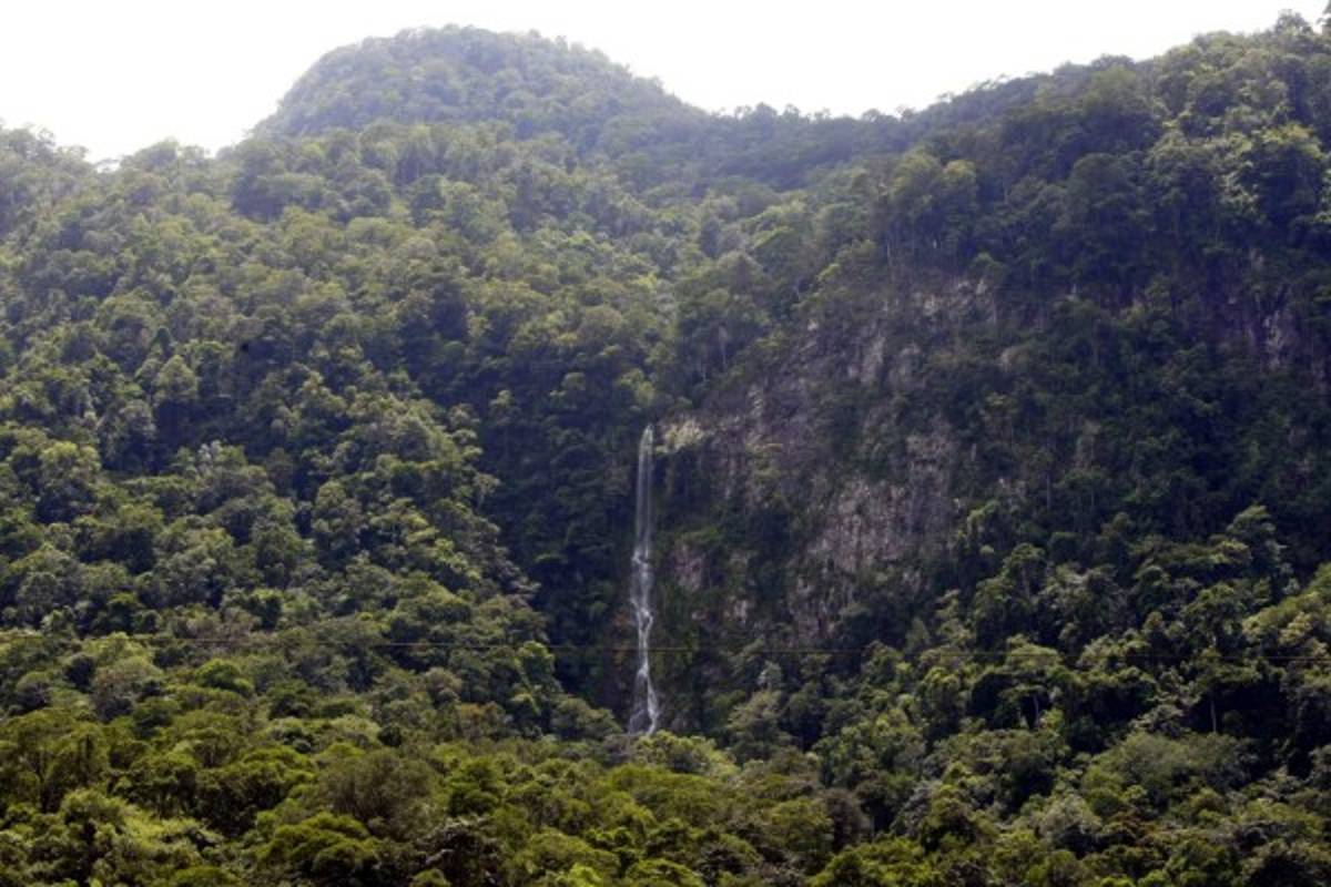 Adrenalina pura en el rafting del Río Cangrejal
