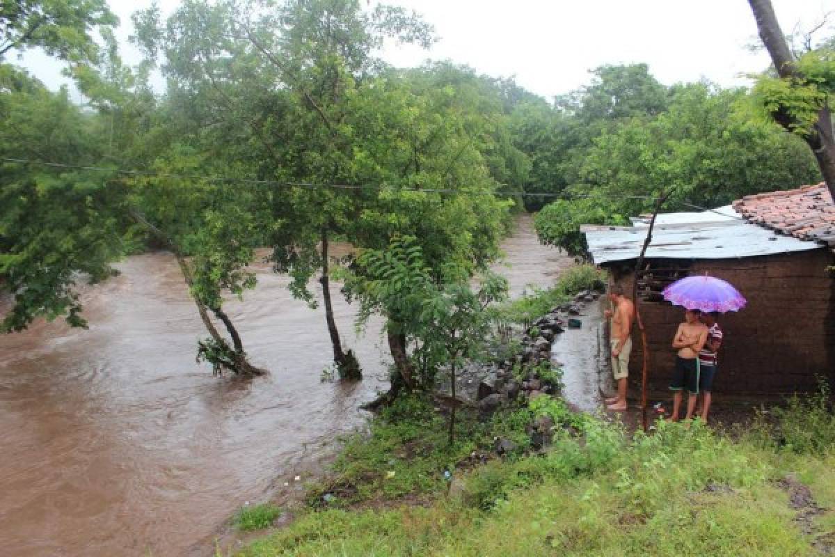 Honduras: En Alianza sucumben siembras de postrera por las inundaciones