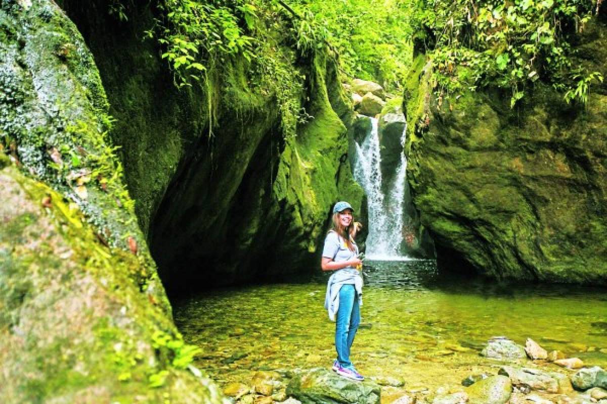 Pico Bonito, un espléndido edén de vida silvestre en la novia de Honduras