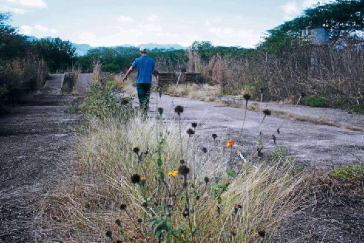 Autoridades del municipio de Danlí piden habilitar antigua pista aérea