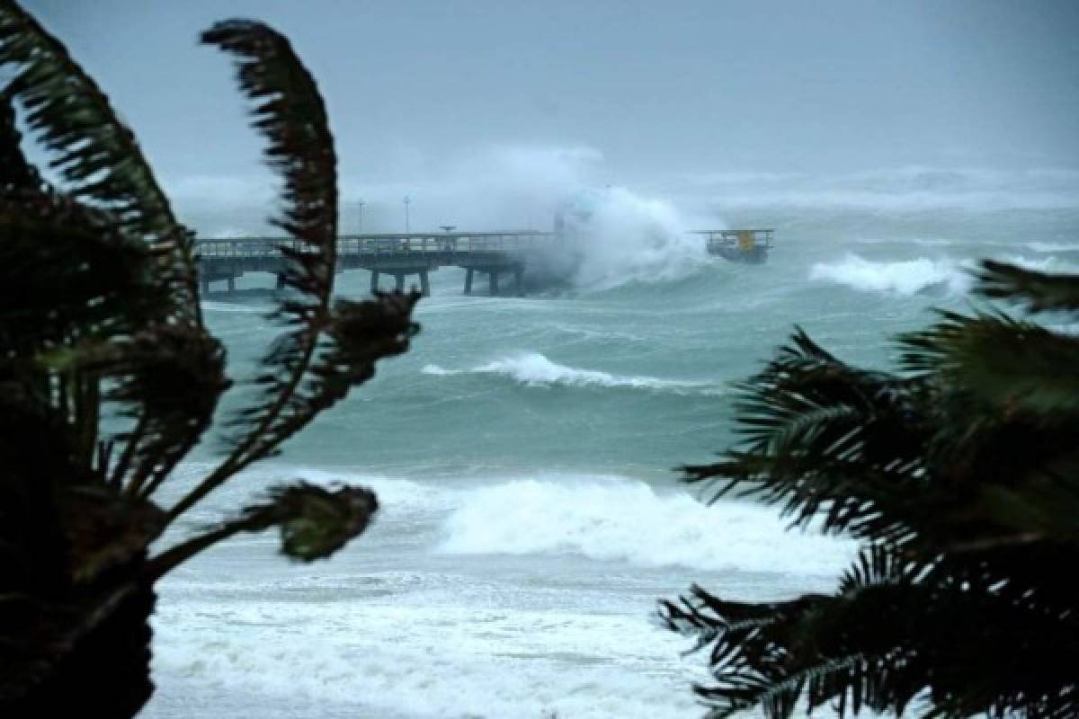¿Cómo afecta a la economía de Estados Unidos los daños provocados por Irma y Harvey?