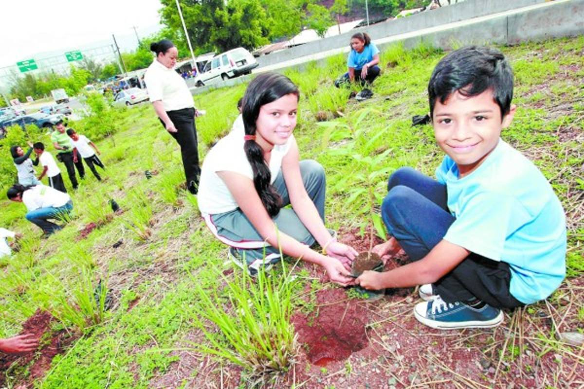 Niños amigables con el ambiente reforestan área verde de la capital