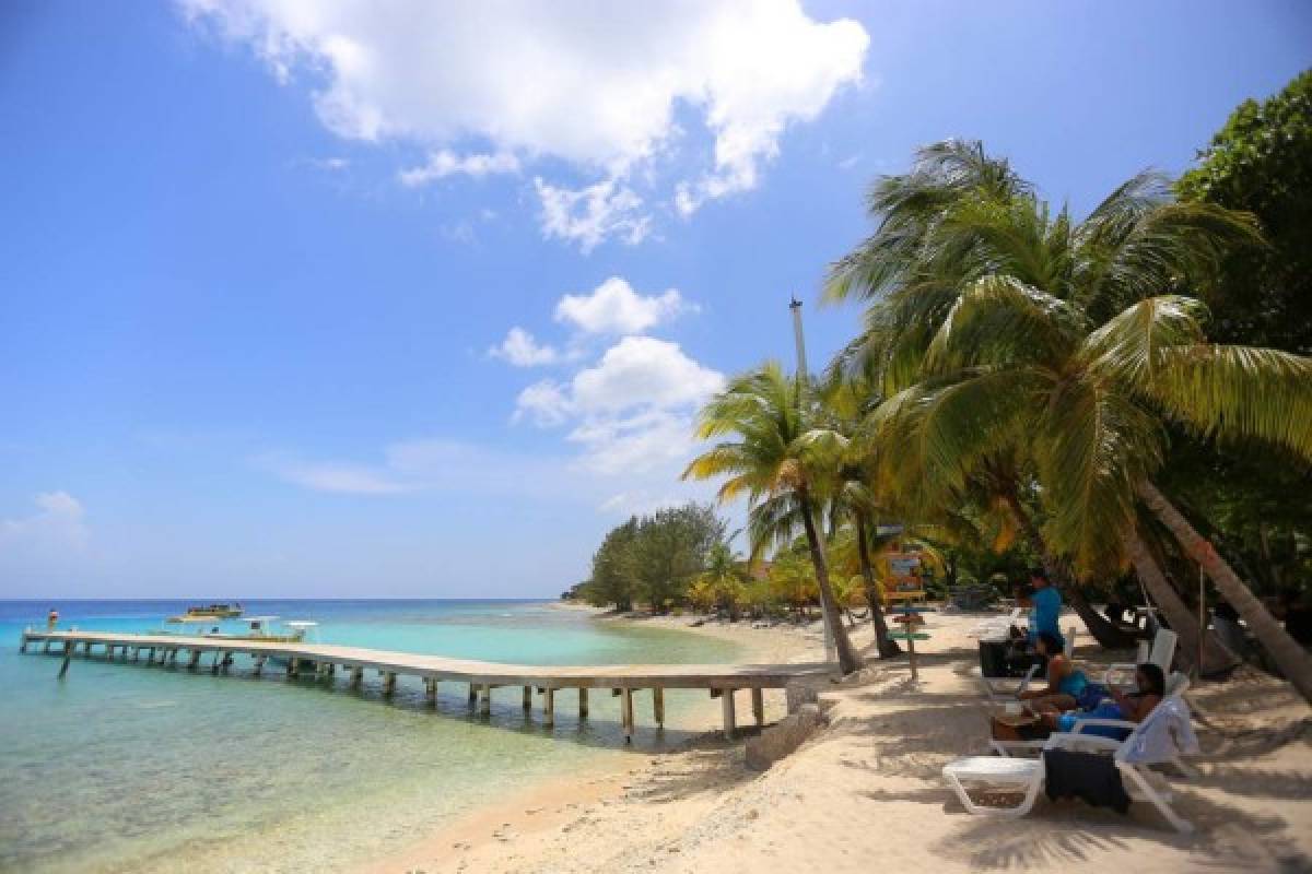 Sacan las botellas del mar en Utila y las usan para asfaltar sus calles