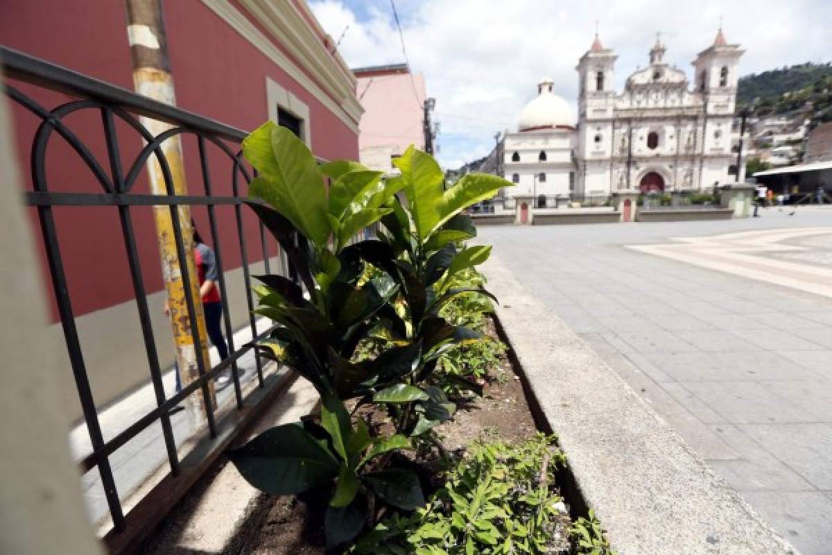 Pequeños murales reviven insignes espacios públicos