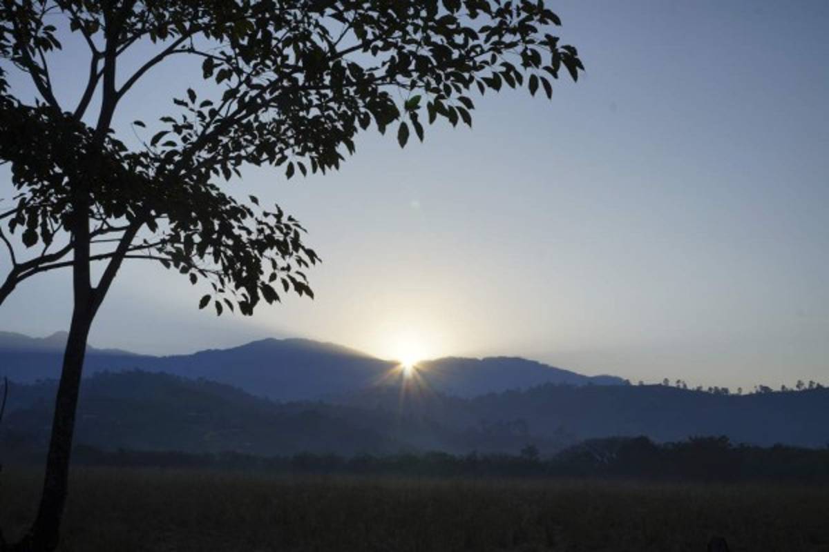 Panacoma, la joya forestal del departamento de Comayagua