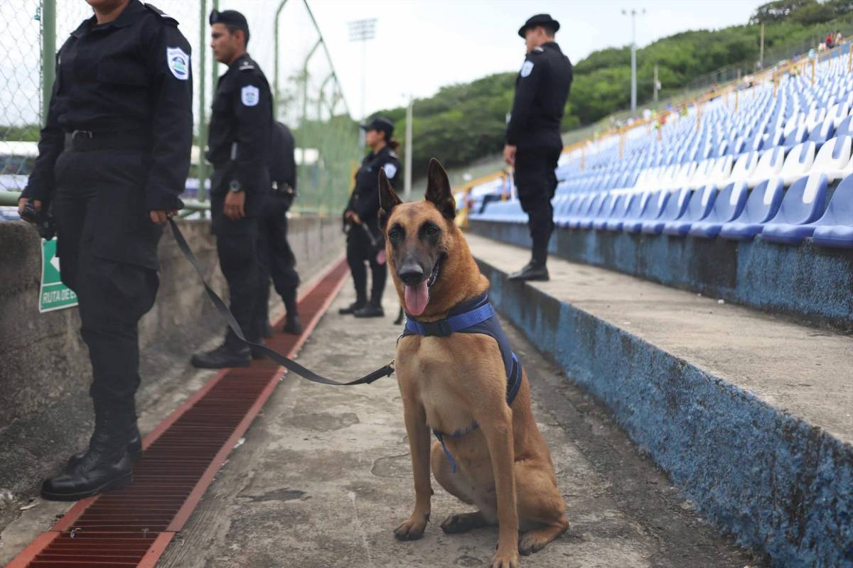 Invasión catracha, chica sorprende y fiesta de Honduras antes de enfrentar a Nicaragua