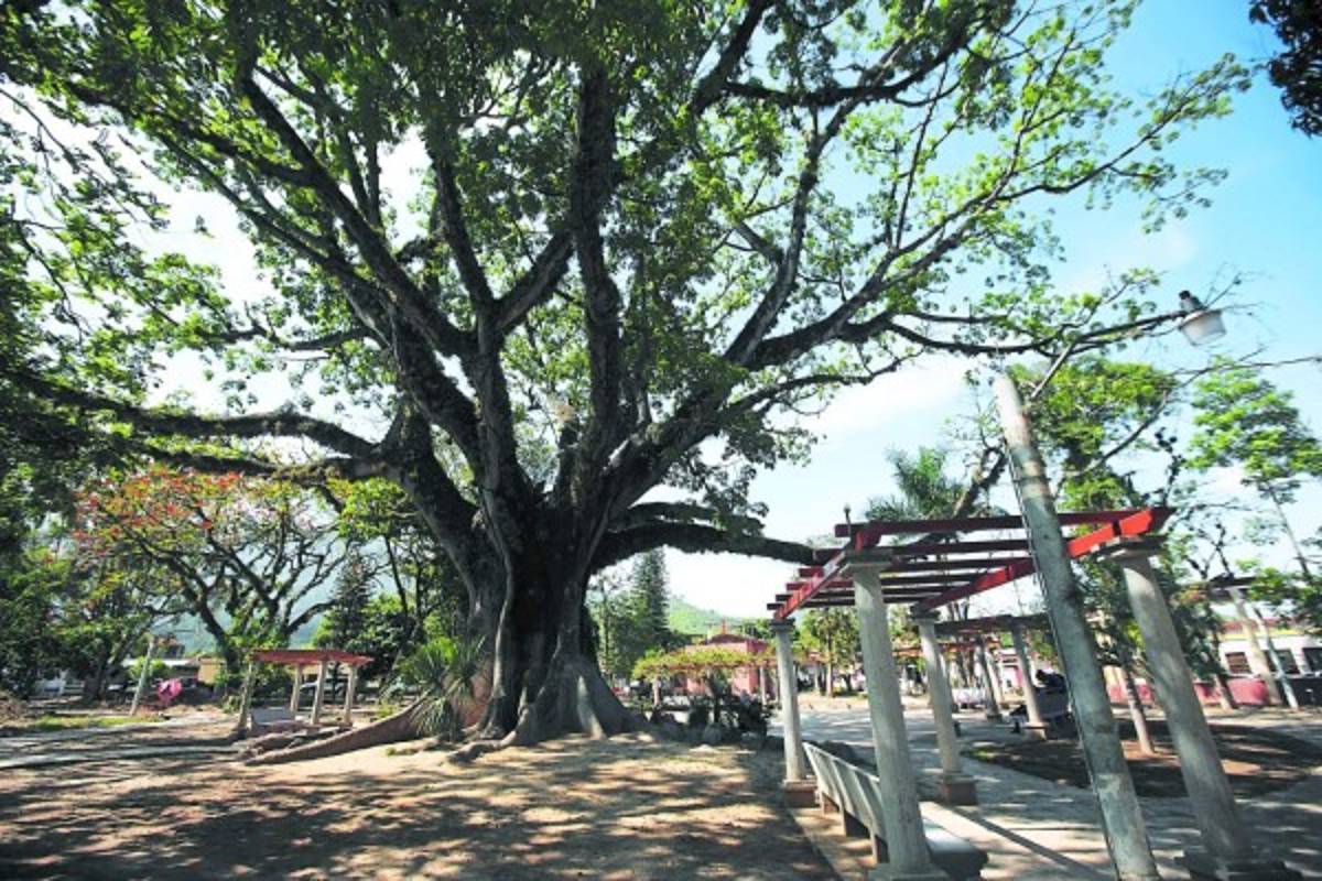 Catacamas, la perla del ecoturismo en oriente