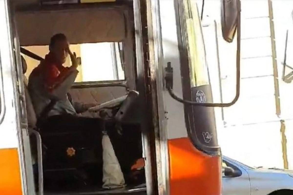Video: Paseador lleva a los perros en bus escolar y se hace viral 