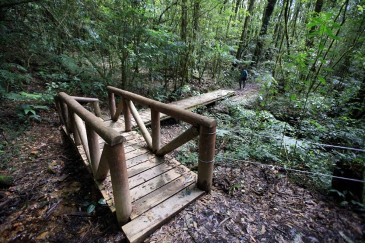 La ruta Cerro de Plata, la unión de El Picacho, El Piligüín y La Tigra