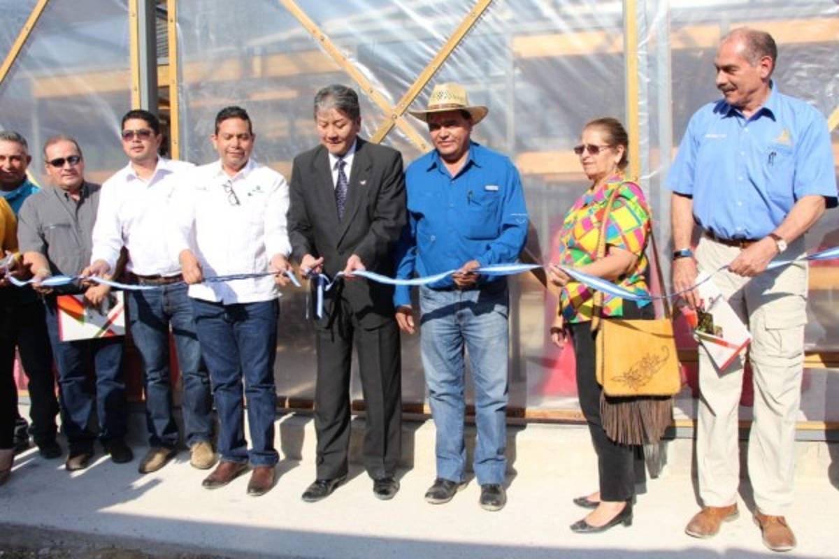 Japón dona 1.5 millones de lempiras para la construcción de una secadora solar de café
