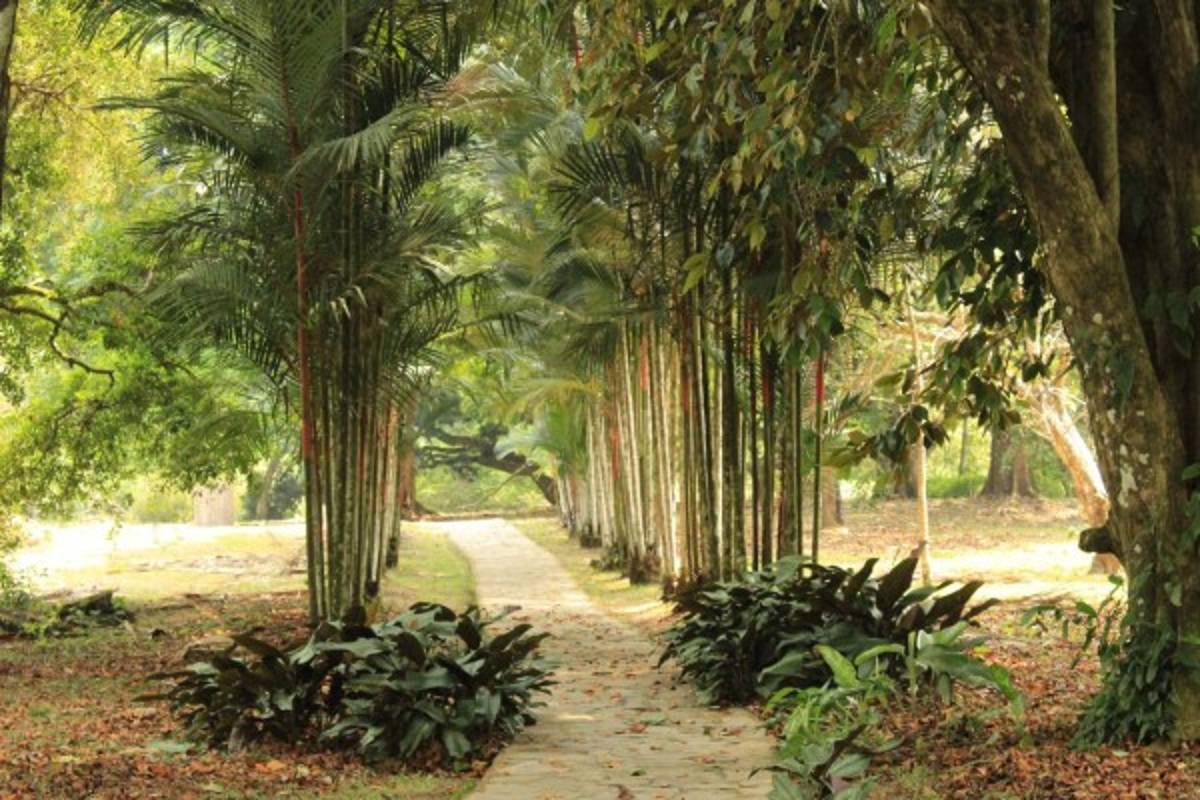 Un viaje por la Joya Verde del Caribe hondureño