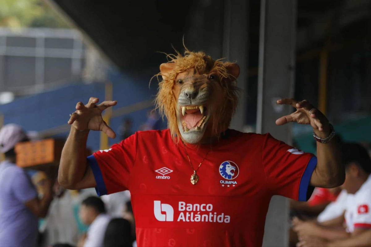 Hermosas chicas, leones y tiburones: gran ambiente para Platense vs Olimpia