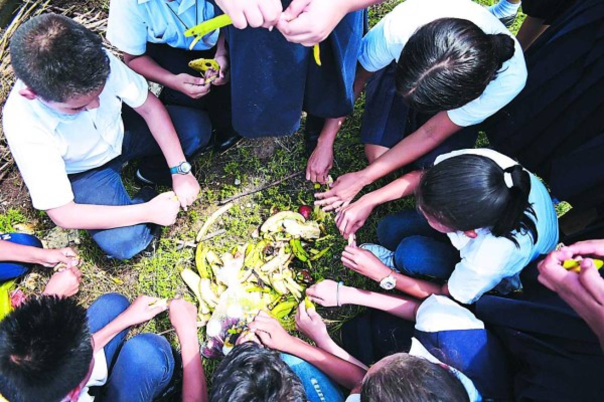 Escuelas cierran el primer mes de trabajo aprendiendo del compost